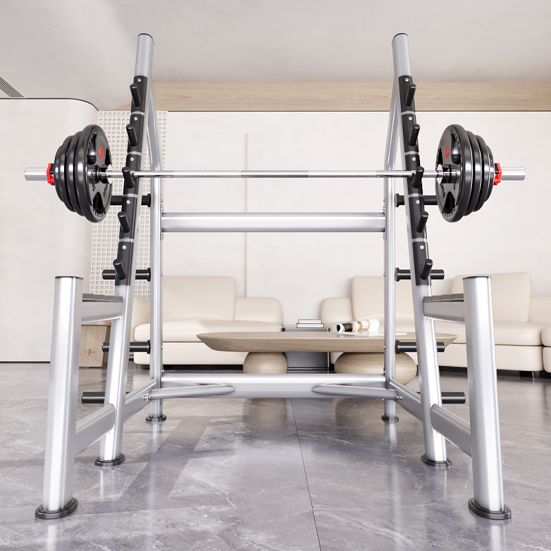 Squat Rack Power Cage, Plate L - Heavy Equipment Lift ulasan dan harga